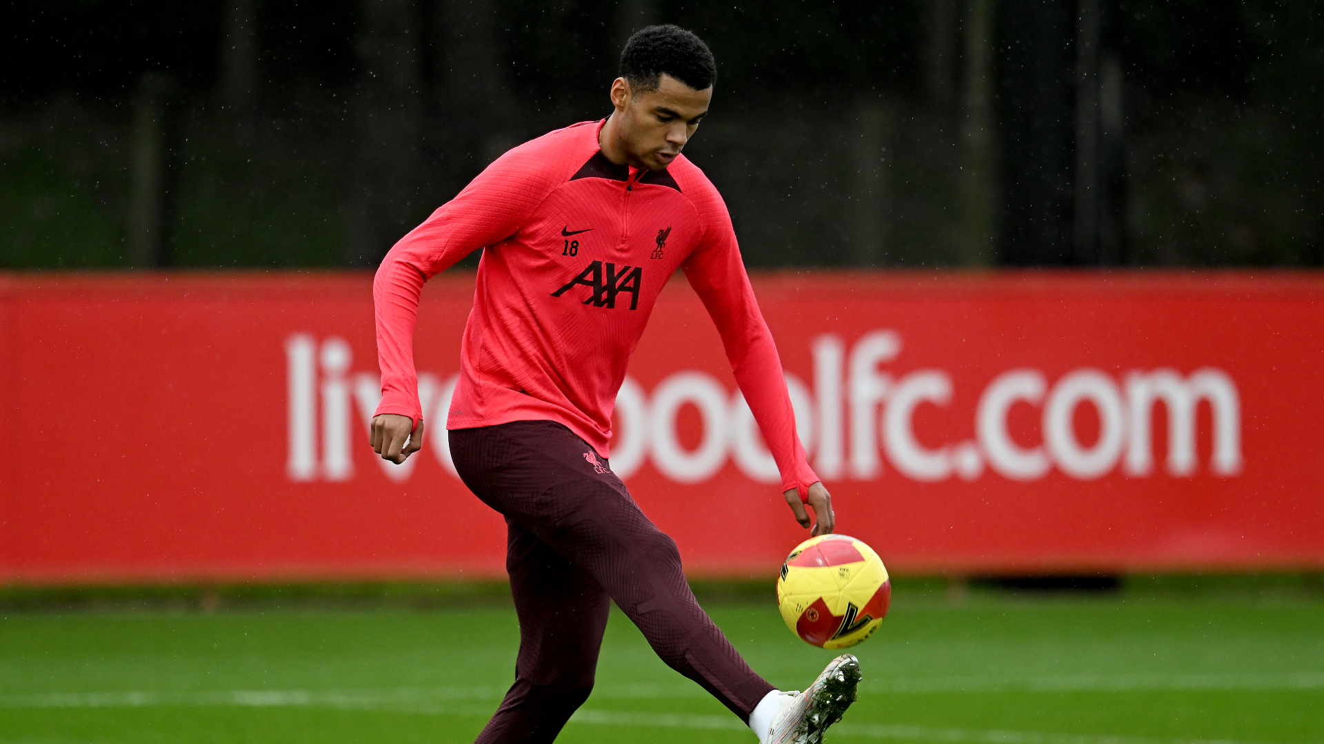 'He wants to push the train' – Klopp says Gakpo joined Liverpool at difficult time as debut looms