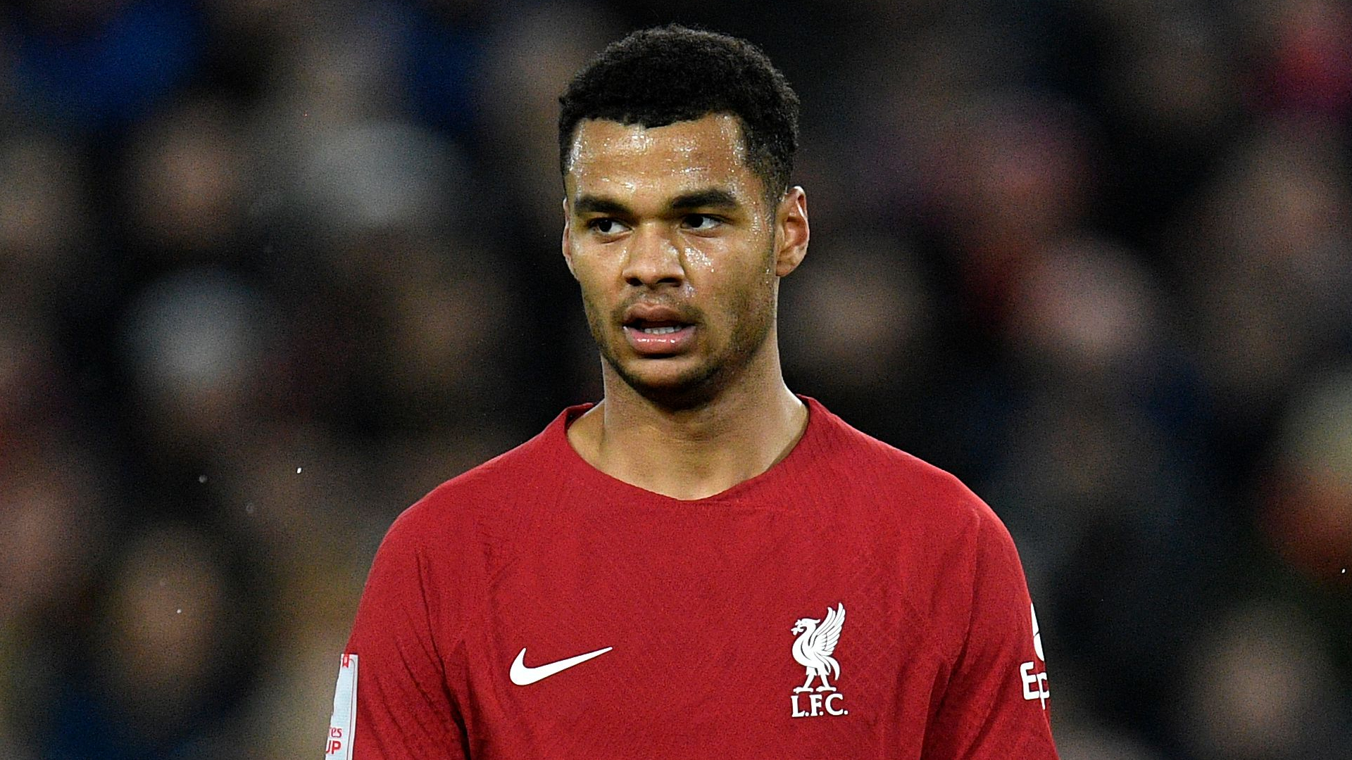 Gakpo reflects on 'sloppy' Liverpool debut with promise of more to come