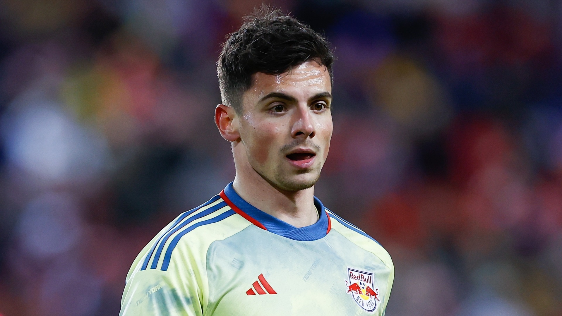 Vanzeir gets six-game racism ban