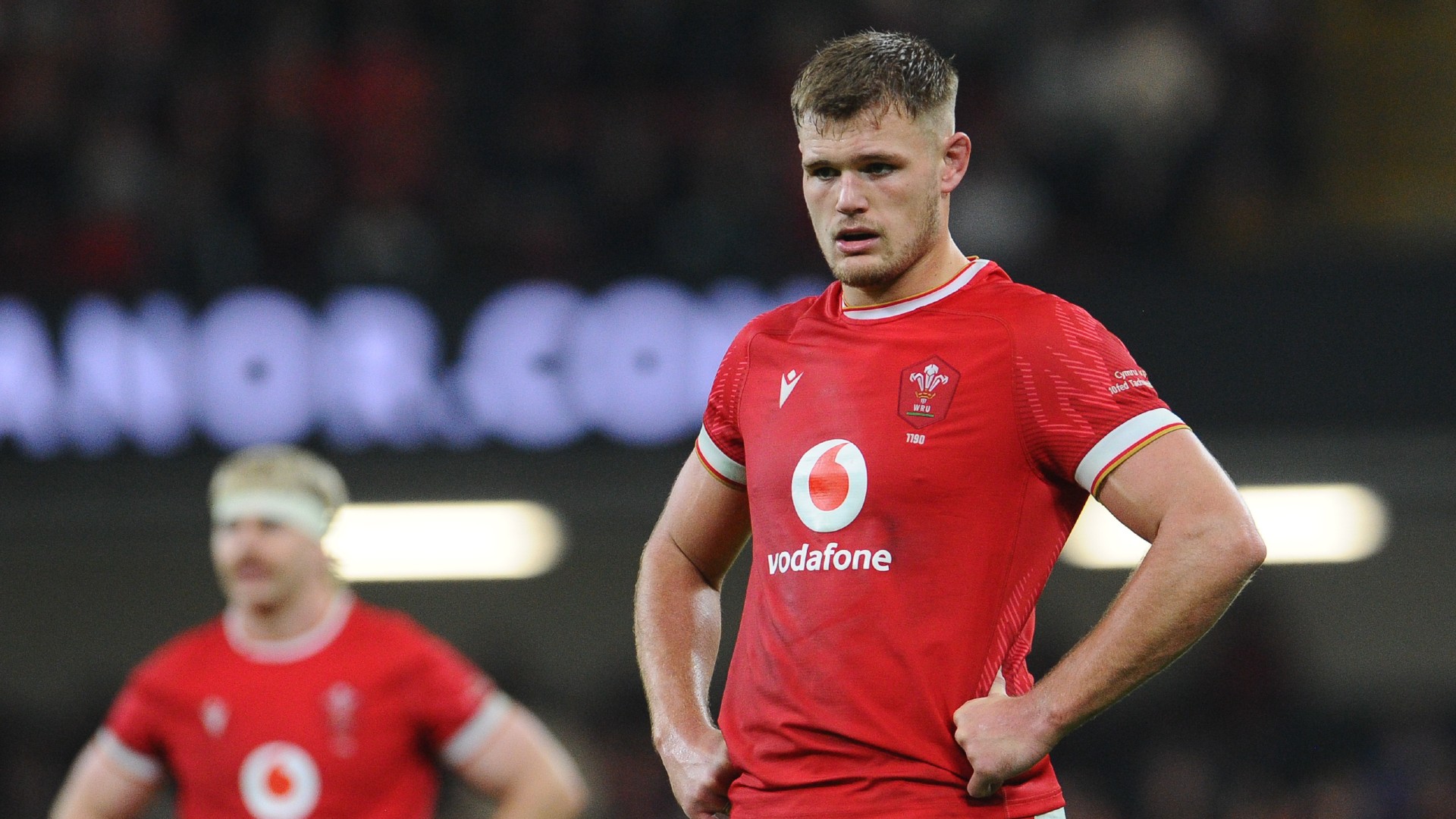 Plumtree called up for Wales