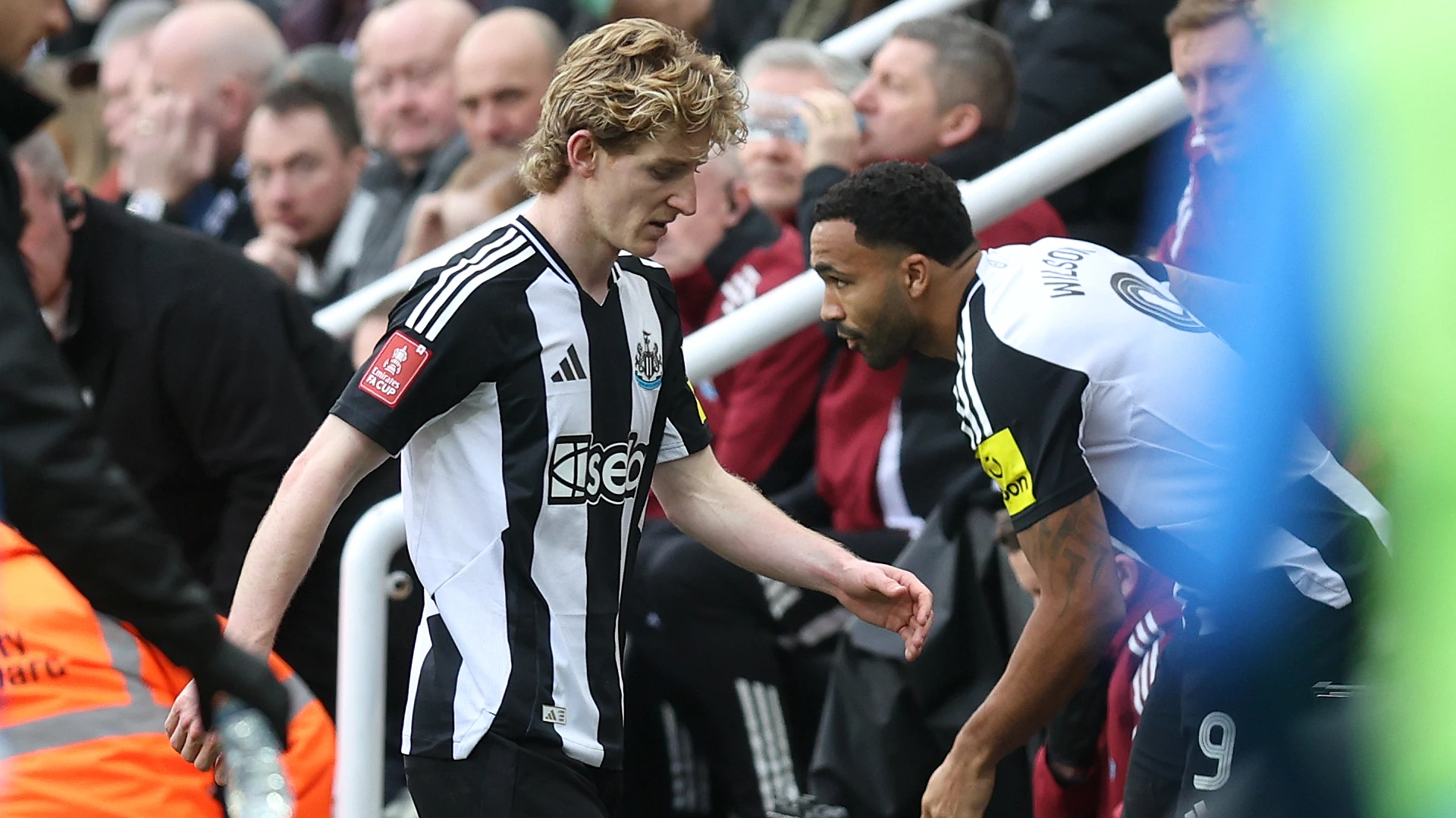 1740934801612_46507cd0-b841-489e-96b4-8de4ac51b231