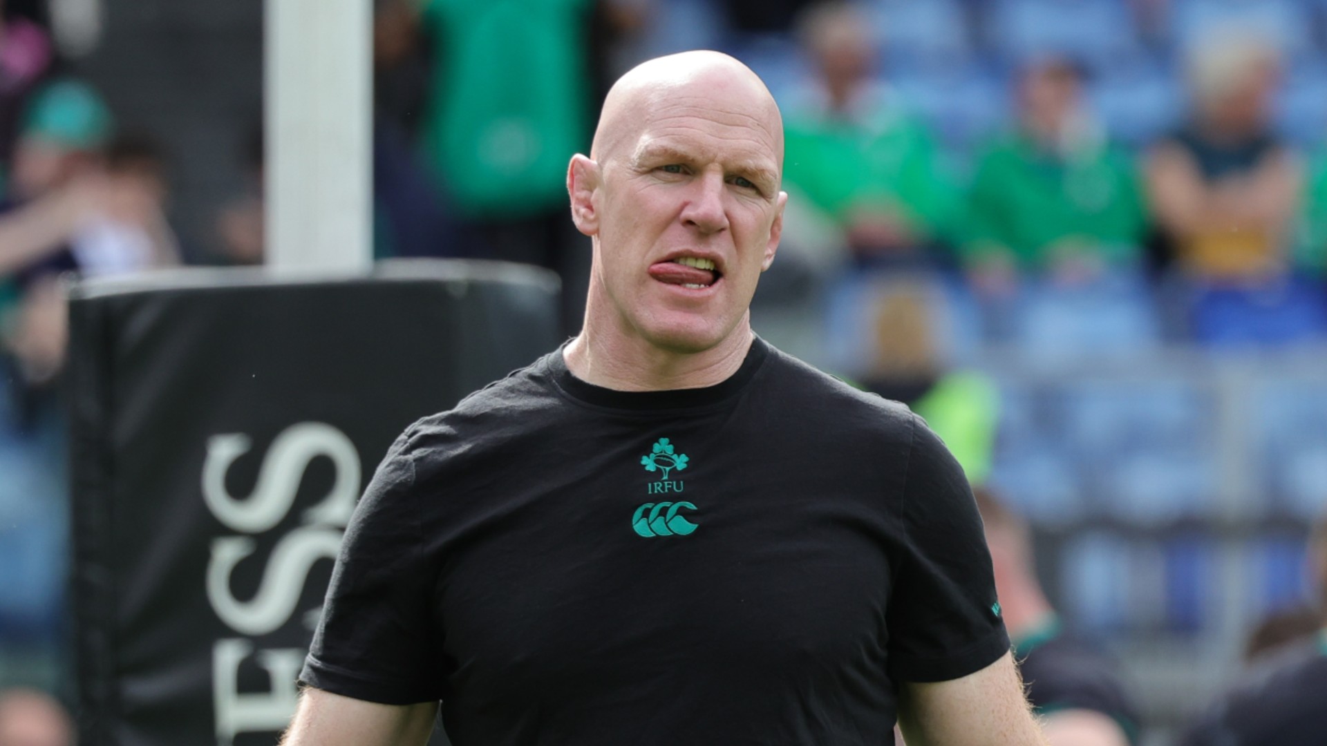 Ireland appoint Paul O'Connell