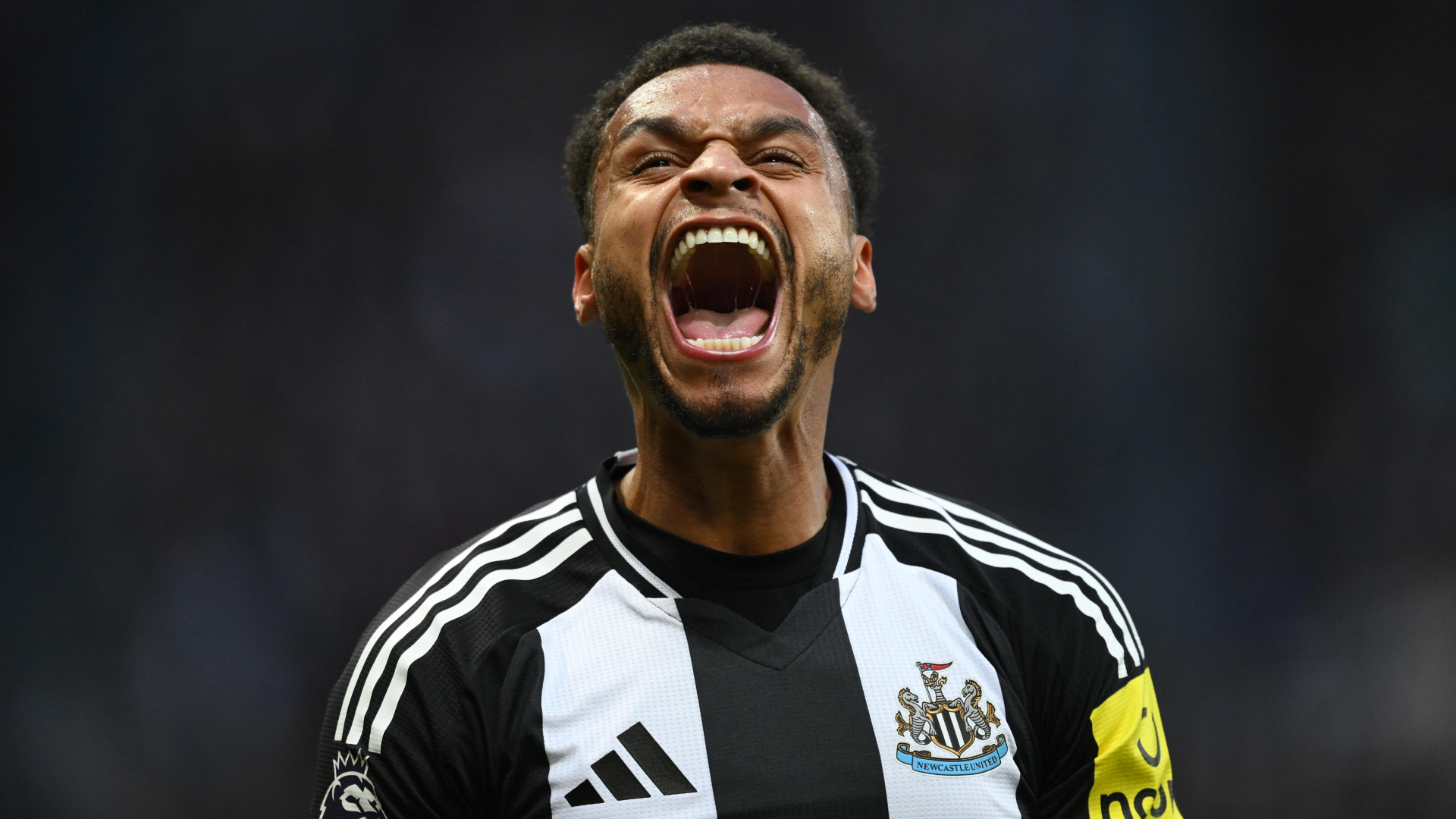 Newcastle United 5-0 Crystal Palace