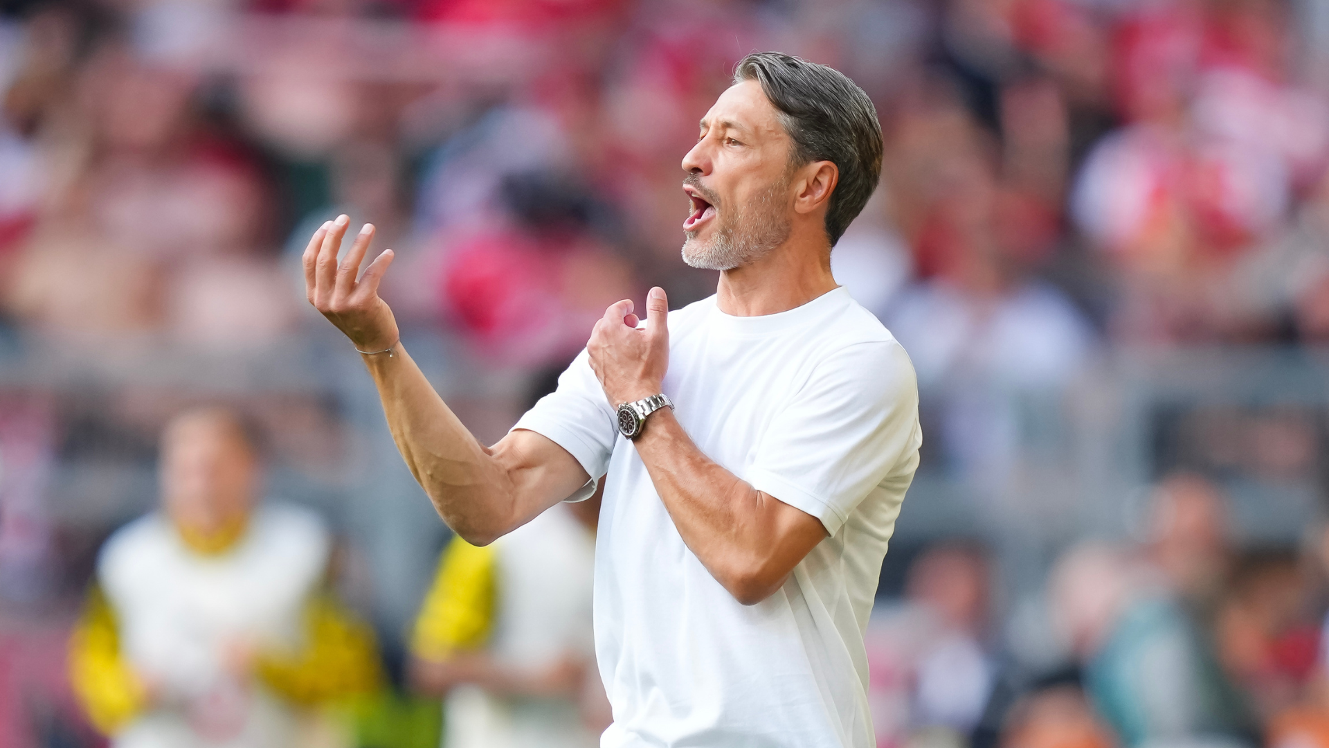 Preview: Heidenheim v Dortmund