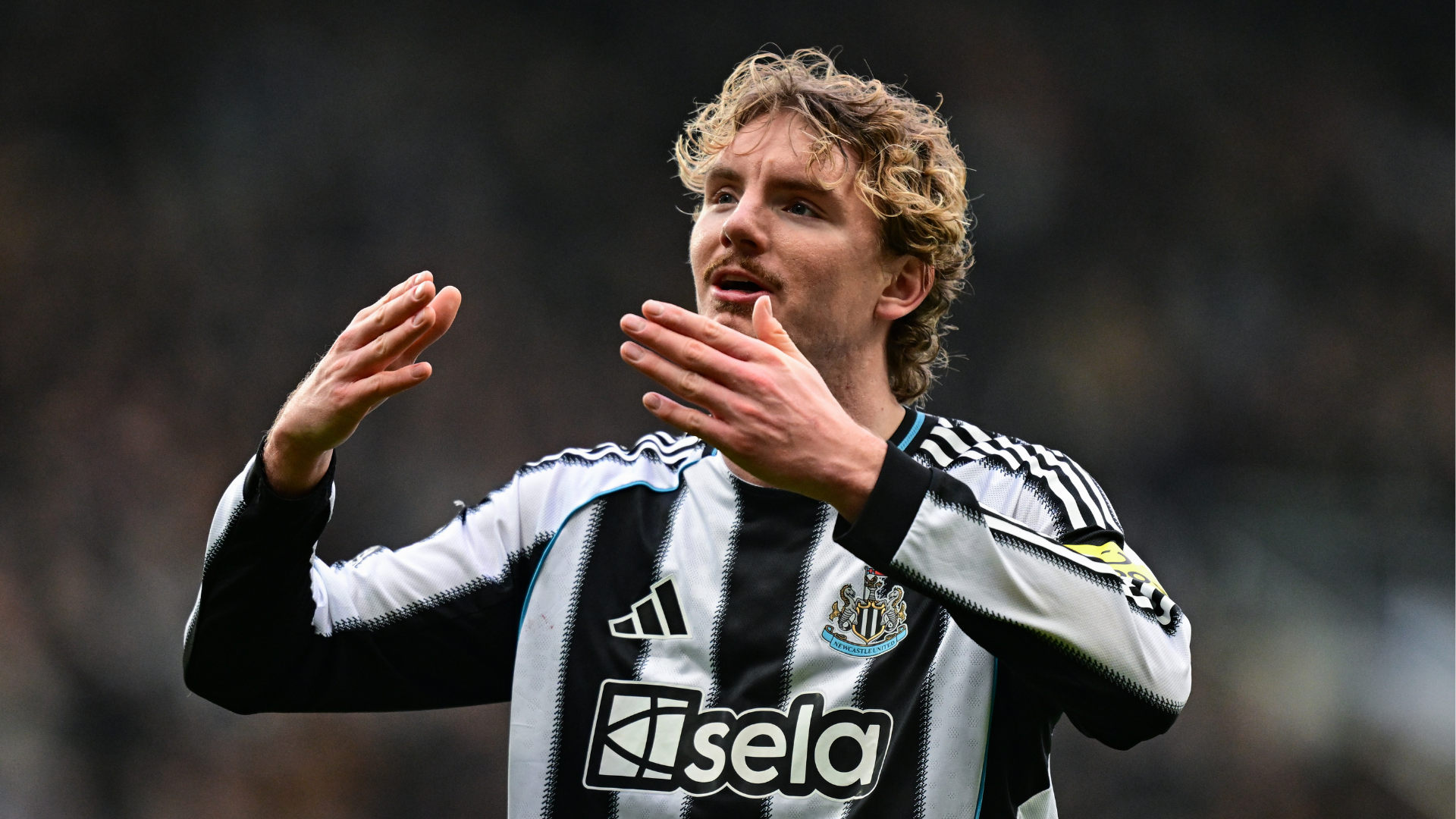 Woltemade thrilled after own goal